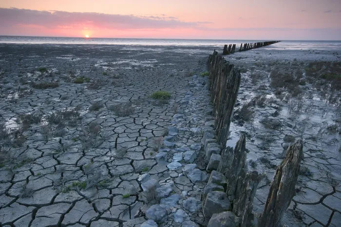 Gerahmter Druck : Waddenzee, Waddensea Gerahmter Druck : Waddenzee, Waddensea