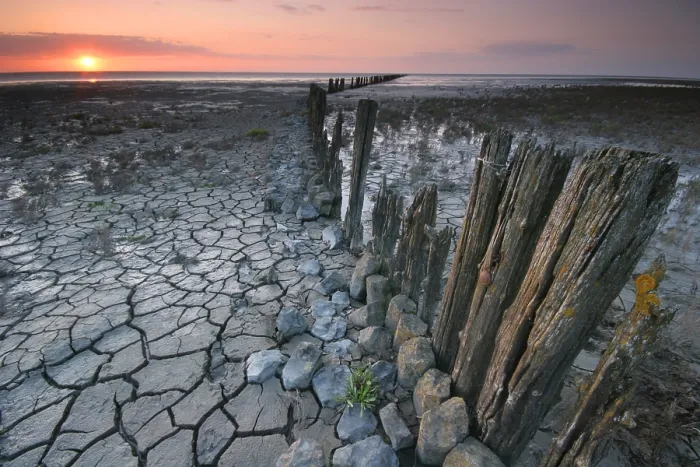 Gerahmter Druck : Waddenzee, Waddensea