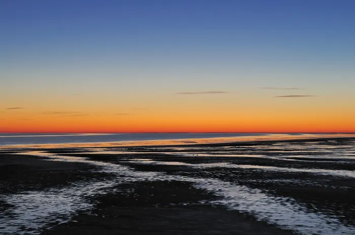 Gerahmter Druck : Agami im Waddenzee