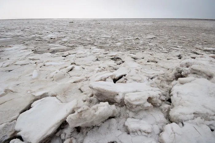 Gerahmter Druck : Waddenzee im Winter Gerahmter Druck : Waddenzee im Winter