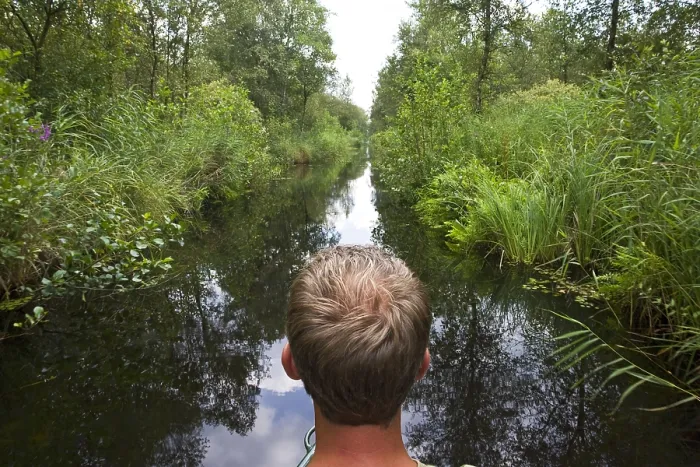 Gerahmter Druck : Weerribben Gerahmter Druck : Weerribben