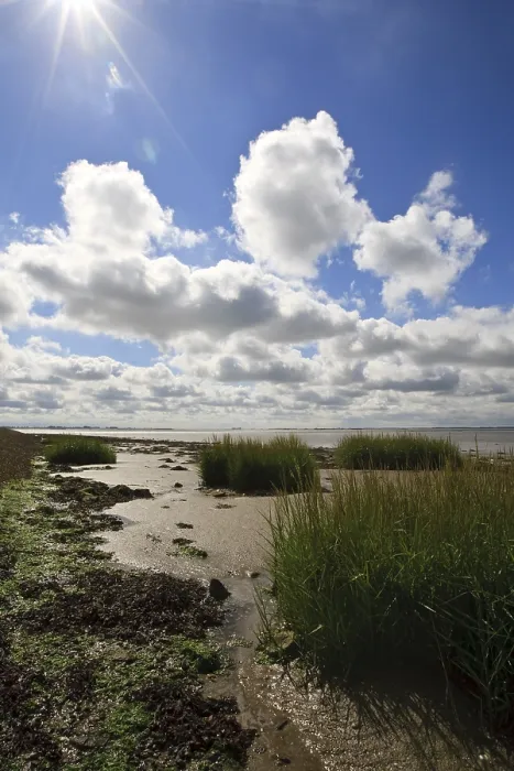 Gerahmter Druck : Westerschelde Gerahmter Druck : Westerschelde