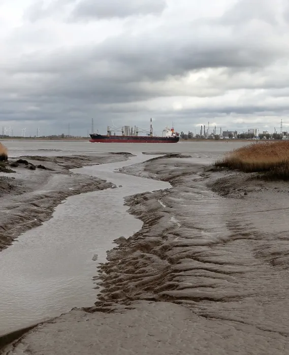 Gerahmter Druck : Die Westerschelde, Niedrigwasser. Gerahmter Druck : Die Westerschelde, Niedrigwasser.