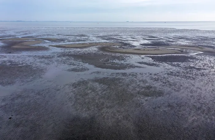 Gerahmter Druck : Westerschelde, Niedrigwasser. Gerahmter Druck : Westerschelde, Niedrigwasser.