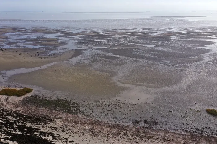 Gerahmter Druck : Westerschelde, Niedrigwasser. Gerahmter Druck : Westerschelde, Niedrigwasser.