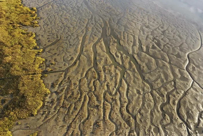 Gerahmter Druck : Westerschelde, Niedrigwasser. Gerahmter Druck : Westerschelde, Niedrigwasser.