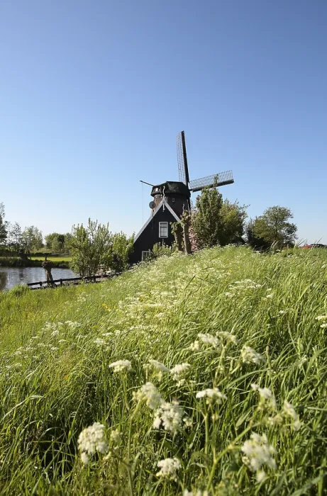 Gerahmter Druck : Windmühle. Mühle De Havik bei Grootschermer Nordholland Niederlande Gerahmter Druck : Windmühle. Mühle De Havik bei Grootschermer Nordholland Niederlande