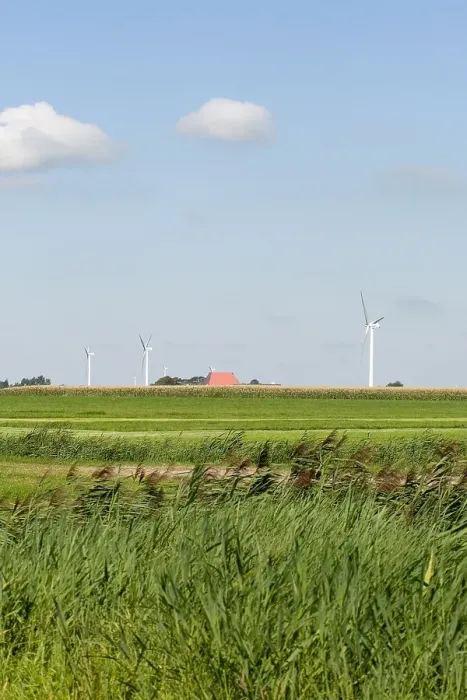 Gerahmter Druck : Windmühlen Gerahmter Druck : Windmühlen