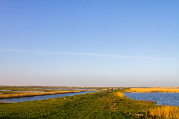Gerahmter Druck : Workumerwaard, Niederlande Gerahmter Druck : Workumerwaard, Niederlande