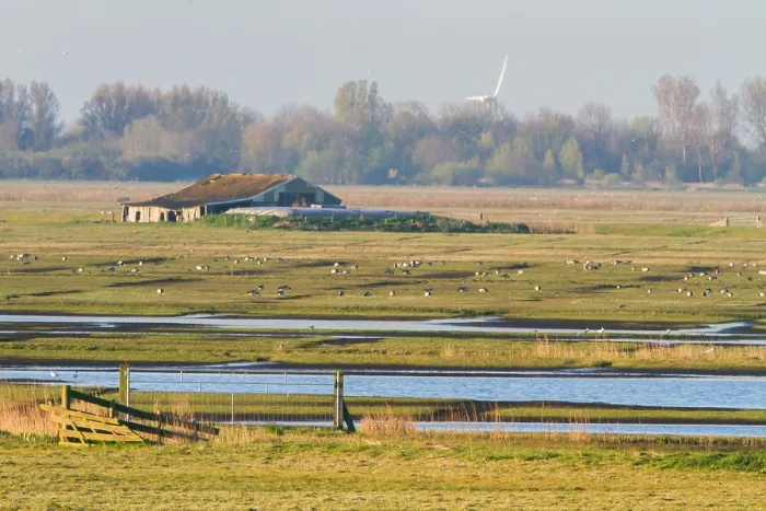 Gerahmter Druck : Workumerwaard, Niederlande Gerahmter Druck : Workumerwaard, Niederlande