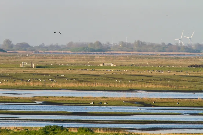 Gerahmter Druck : Workumerwaard, Niederlande Gerahmter Druck : Workumerwaard, Niederlande