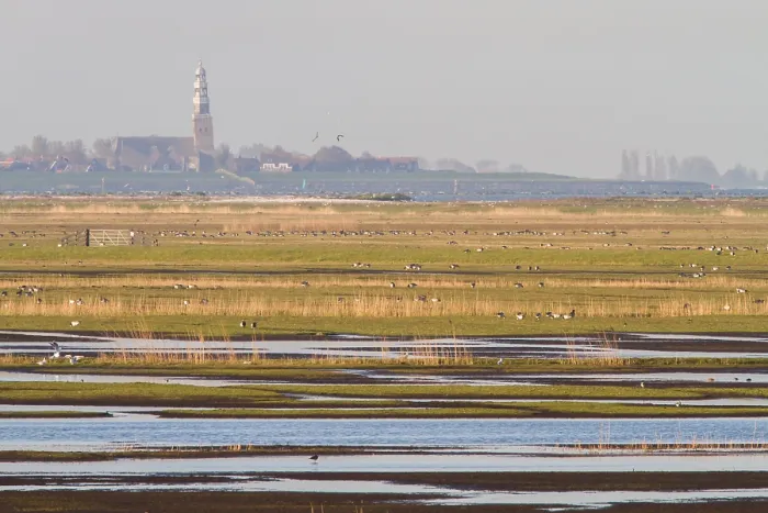 Gerahmter Druck : Workumerwaard, Niederlande