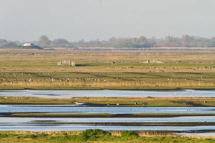 Gerahmter Druck : Workumerwaard, Niederlande Gerahmter Druck : Workumerwaard, Niederlande