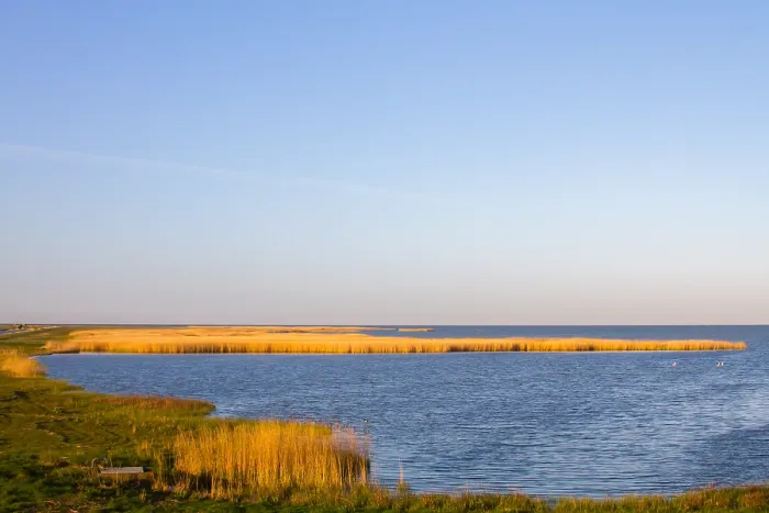 Gerahmter Druck : Workumerwaard, Niederlande