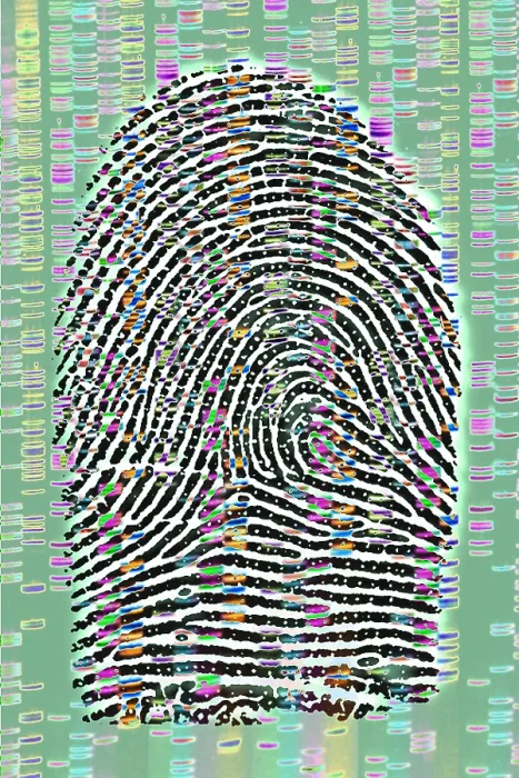 Gerahmter Druck : Fingerprint-Analyse Gerahmter Druck : Fingerprint-Analyse