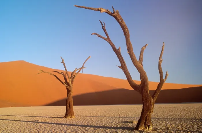 Gerahmter Druck : Dünen aus Sand, Namibia.