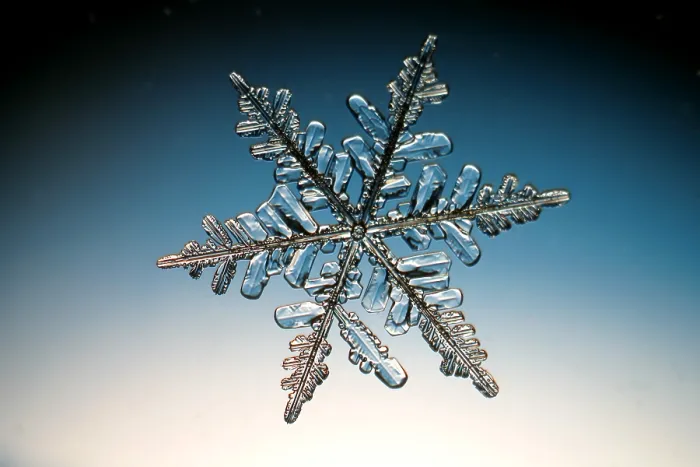 Gerahmter Druck : Snowflake. Ein Schneeflocke oder ein Schneekristall Gerahmter Druck : Snowflake. Ein Schneeflocke oder ein Schneekristall