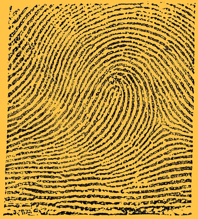 Gerahmter Druck : Typisches Schleifenmuster, 1900.