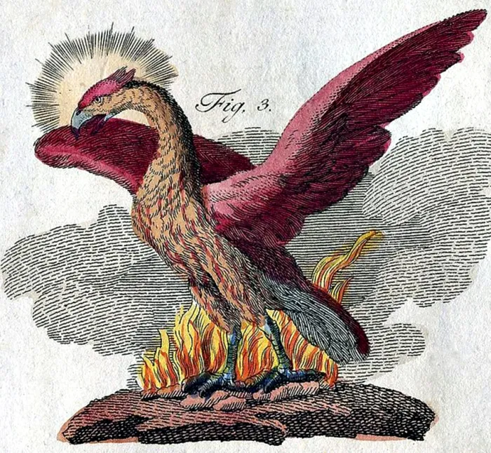 Gerahmter Druck : Phönix, legendärer Kreatur. Gerahmter Druck : Phönix, legendärer Kreatur.