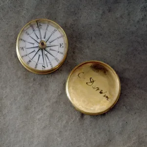 Gold Compass Print with Darwin Signature Gold Compass Print with Darwin Signature