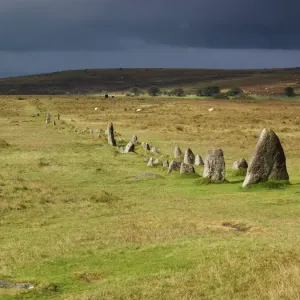 Merrivale Prehistoric Settlement Print: General view of stone row avenue
