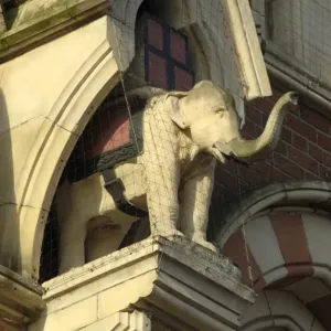 Print of an Elephant in a Niche at 64 - 66 Fawcett Street, Sunderland