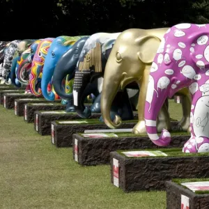 Elephant Parade Print DP094957, Royal Hospital Chelsea London