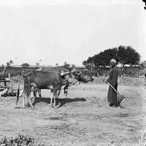 Threshing Print, Egypt