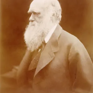 Karl Darwin 980352