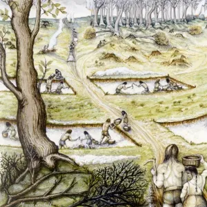Iron Age Defence Ditches Print