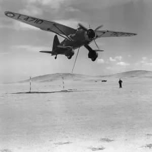 Lysandero di Westland