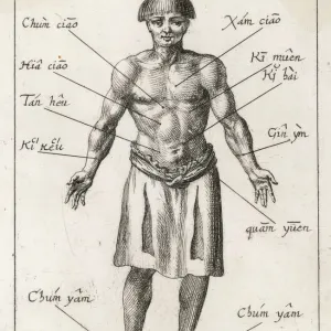 Print of 17th Century Acupuncture Diagram Print of 17th Century Acupuncture Diagram