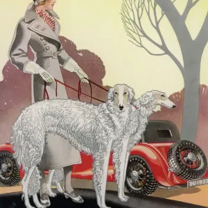 Afghanischer Windhund