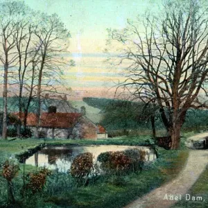 Adel Dam, Leeds Print 1907 Adel Dam, Leeds Print 1907