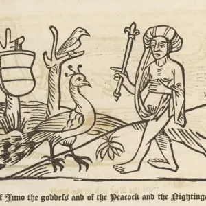 Aesop's Fables Print - Juno and Peacock Aesop's Fables Print - Juno and Peacock