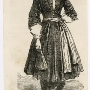 Amelia Bloomer Amelia Bloomer