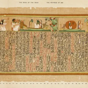 Ancient Egyptian Print: Scenes of Myth and Nature Ancient Egyptian Print: Scenes of Myth and Nature