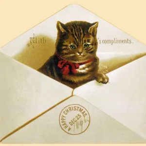 Cat in Envelope Print Cat in Envelope Print