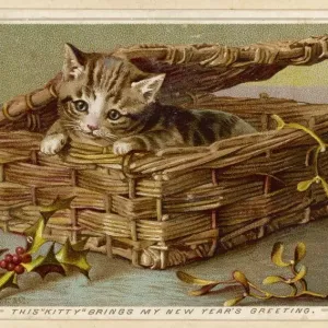 Tabby Kitten Print in Wicker Basket Tabby Kitten Print in Wicker Basket