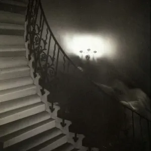 Apparition Print: Tulip Staircase Figure
