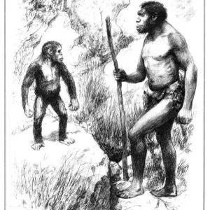 1925 Print: Australopithecus and the Rhodesian Man 1925 Print: Australopithecus and the Rhodesian Man