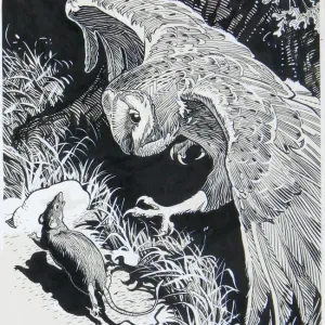 Barn Owl Hunting a Rat Print Barn Owl Hunting a Rat Print