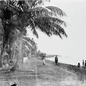 Tonga Verwandte Bilder