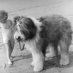 1950s Beach Scene Print: Girl and Old English Sheepdog 1950s Beach Scene Print: Girl and Old English Sheepdog