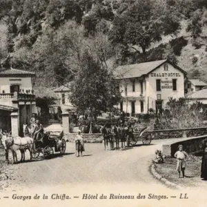 Blida, Algeria: Chiffa Gorge Print circa 1905 Blida, Algeria: Chiffa Gorge Print circa 1905