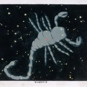Scorpiolo / Scorpione / Piattaforma 45 Scorpiolo / Scorpione / Piattaforma 45
