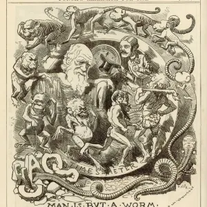 Charles Darwin Print: Man is but a Worm Charles Darwin Print: Man is but a Worm