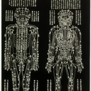 Chinese Acupuncture Chart Print Chinese Acupuncture Chart Print
