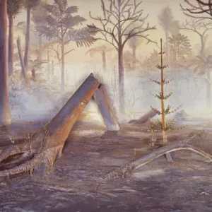 Carboniferous Coal Forest Diorama Print Carboniferous Coal Forest Diorama Print