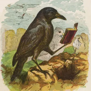 Cock Robin Print: A Mournful Rook Leads the Burial Service Cock Robin Print: A Mournful Rook Leads the Burial Service